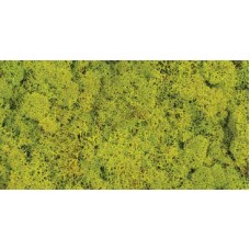 REINDEER MOSS 2.5 OZ  Spring Green  (HEADER)-